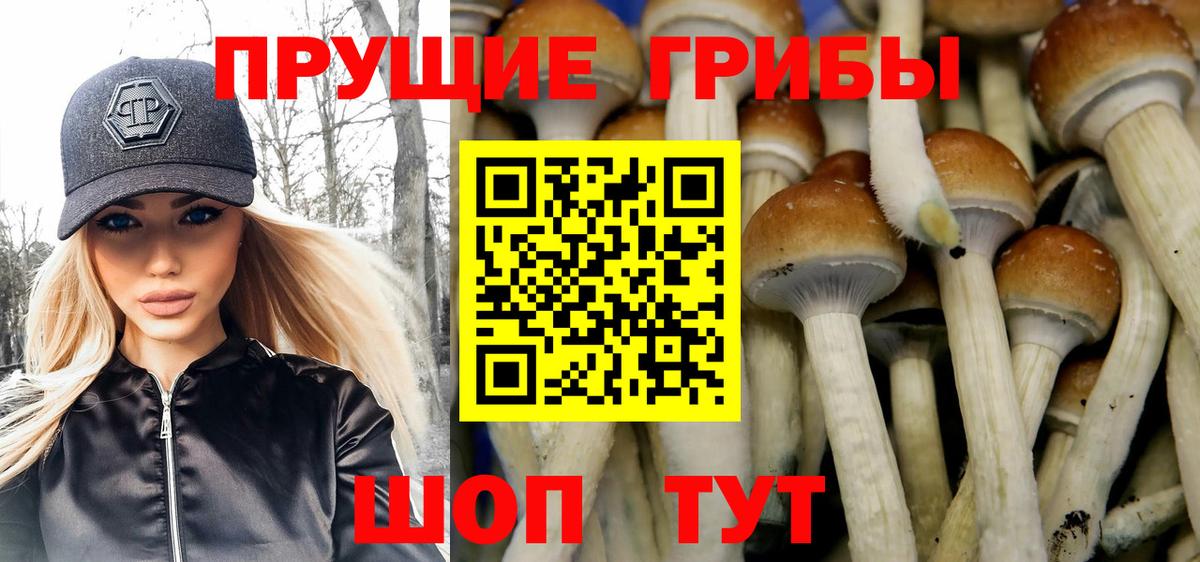 Галлюциногенные грибы Psilocybine cubensis  Вход с VPN  Ногинск 